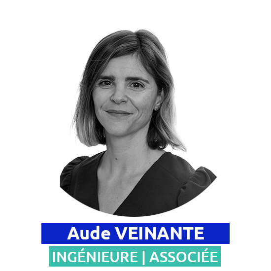 Aude_VEINANTE - Ingénieure Lavoix