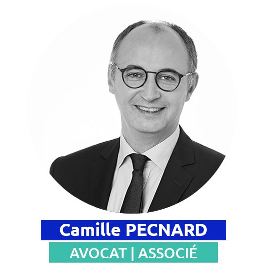 Camille PECNARD - Avocat Lavoix - Associé