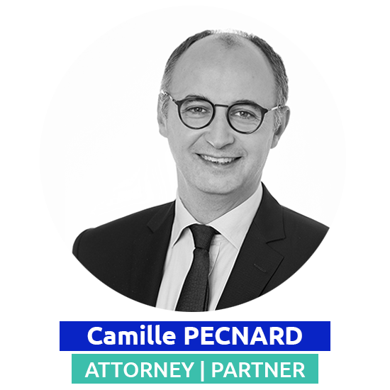 Camille PECNARD - Attorneys-at-Law - Partner